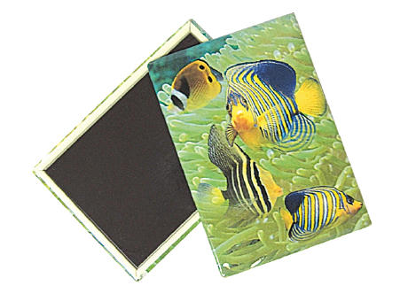 Kühlschrankmagnet