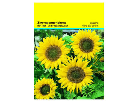 Samentütchen Zwergsonnenblume 82 x 114 mm