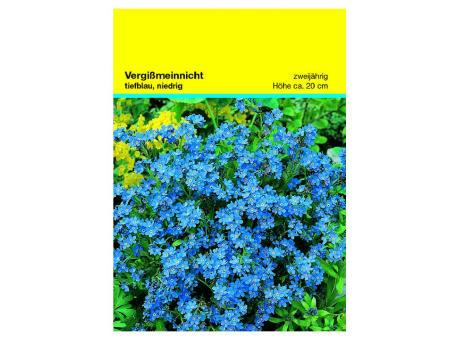 Samentütchen Vergissmeinnicht 82 x 114 mm