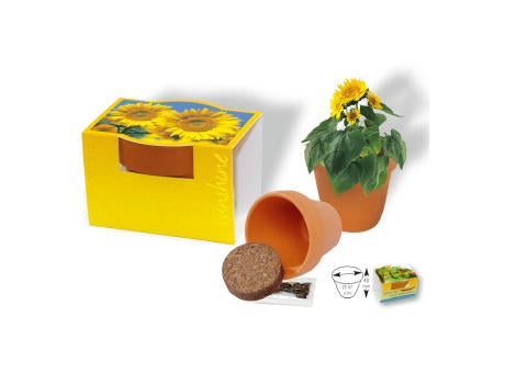 Tontöpfchen Sonne