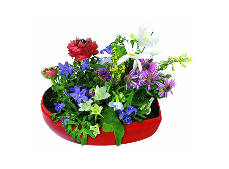 Blumen-Herz