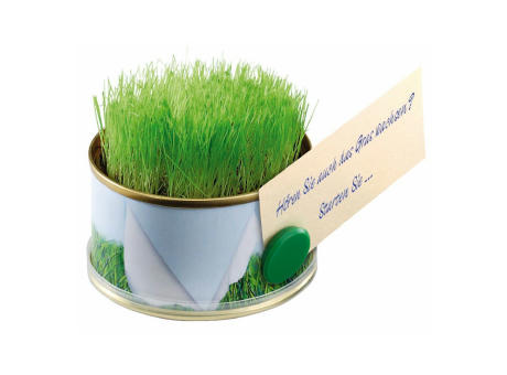 Minigarten Gras mit Magnet
