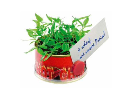 Minigarten Hot mit Magnet
