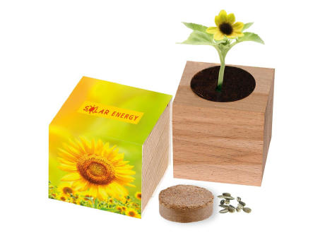 Großer Natur-Würfel Sonne