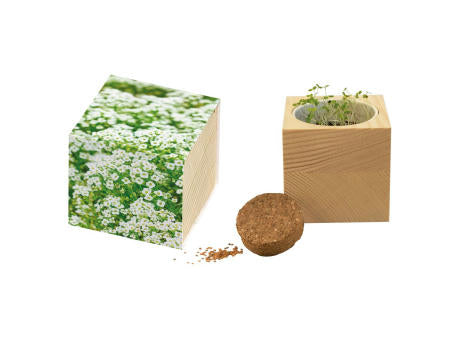 Großer Natur-Würfel Schneeteppich
