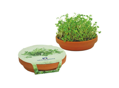Kresse-Schale