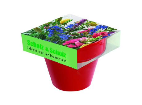 Tontopf Colour Bunte Blumenwelt