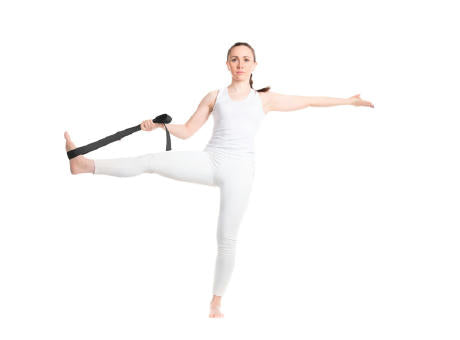 Virabha RPET Yogagurt