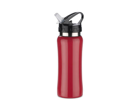 Stahlflasche PATRO 600 ml