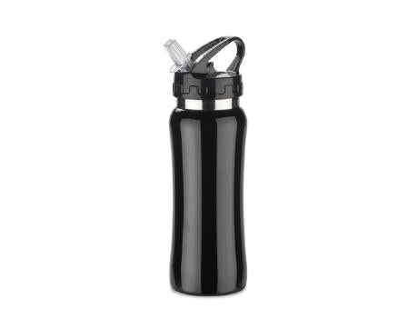 Stahlflasche PATRO 600 ml