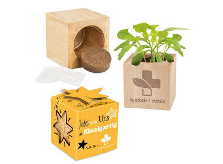 Pflanz-Holz Star-Box Ostern mit Samen - Eierbaumsamen