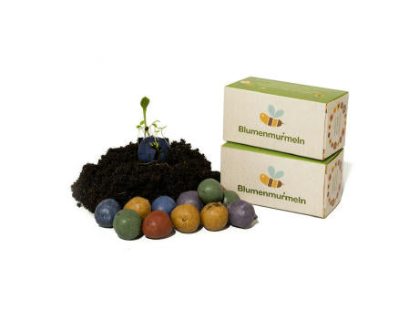 ca. 12 Blumenmurmeln in einer Faltschachtel