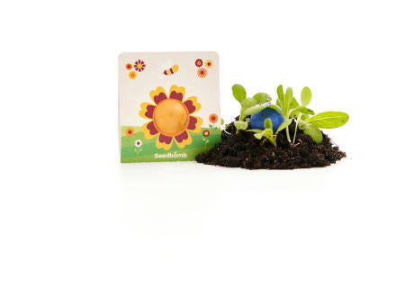 1er Träger mittlere Blumenmurmel