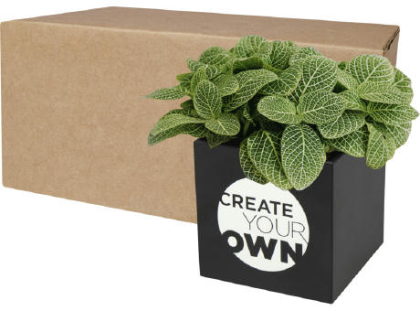 Hey Pots Blumentopf aus Aluminium, Sukkulente