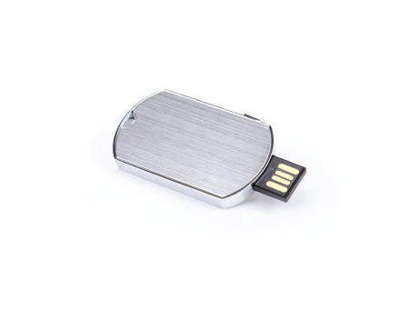 USB Stick Hundemarke