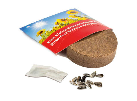 Plant-Tab mit Samen - Basilikum