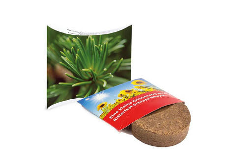 Plant-Tab mit Samen - Basilikum