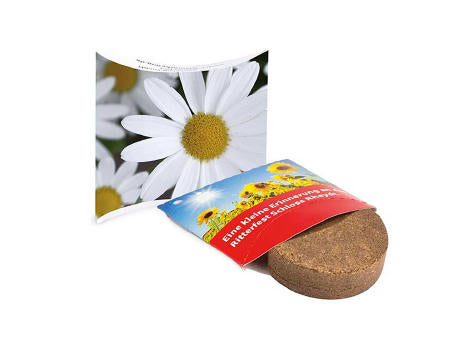Plant-Tab mit Samen - Basilikum