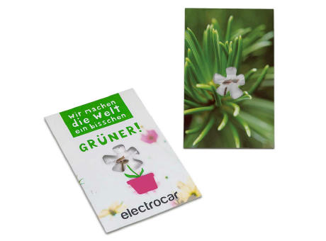 Samen-Karte-Mini Blume - Basilikum