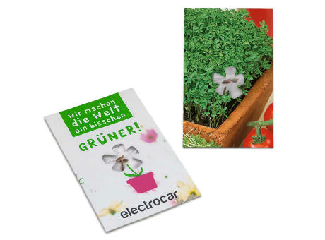 Samen-Karte-Mini Blume - Basilikum