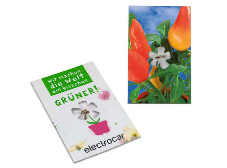 Samen-Karte-Mini Blume - Basilikum