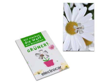 Samen-Karte-Mini Blume - Basilikum