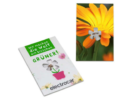 Samen-Karte-Mini Blume - Basilikum