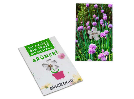 Samen-Karte-Mini Blume - Basilikum