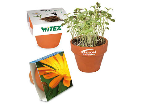 Logo-Töpfchen Banderole mit Samen - Basilikum