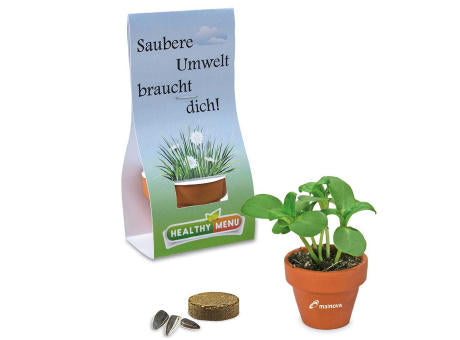 Logo-Töpfchen Überreichverpackung mit Samen - Basilikum