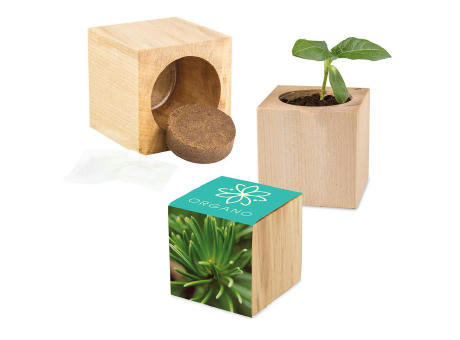 Pflanz-Holz Maxi mit Samen - Basilikum