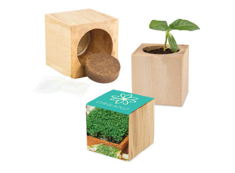 Pflanz-Holz Maxi mit Samen - Basilikum