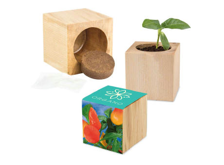 Pflanz-Holz Maxi mit Samen - Basilikum