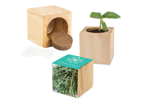Pflanz-Holz Maxi mit Samen - Basilikum