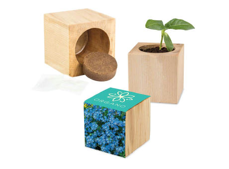 Pflanz-Holz Maxi mit Samen - Basilikum