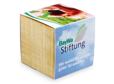 Pflanz-Holz Magnet mit Samen - Basilikum