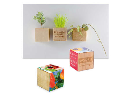 Pflanz-Holz Magnet mit Samen - Basilikum
