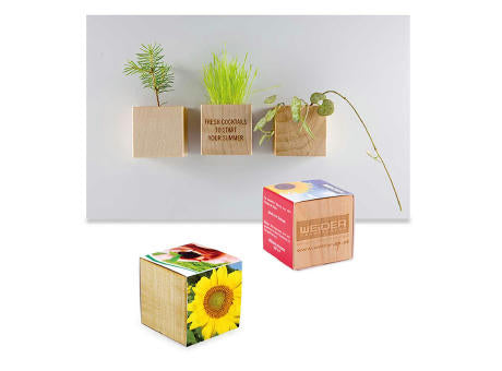 Pflanz-Holz Magnet mit Samen - Basilikum