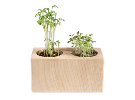 Pflanz-Holz 2er Set mit Samen - Petersilie