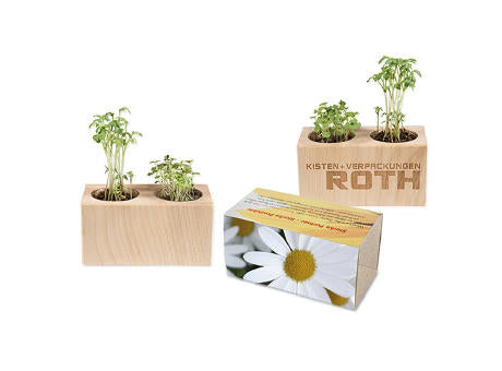Pflanz-Holz 2er Set mit Samen - Basilikum