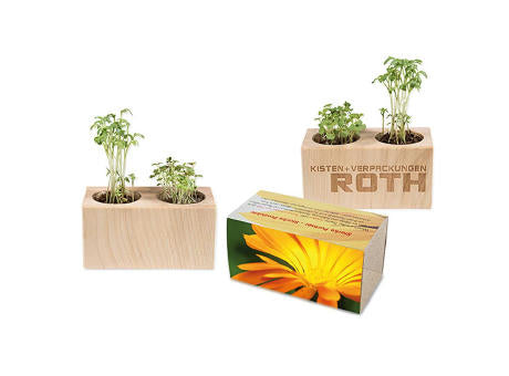 Pflanz-Holz 2er Set mit Samen - Basilikum