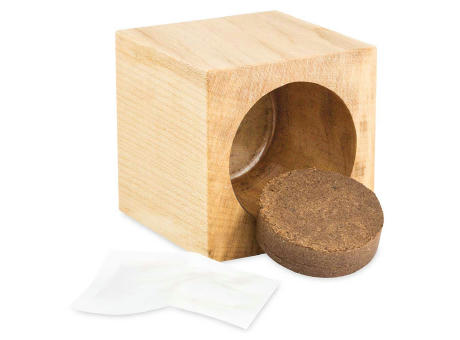 Pflanz-Holz Büro Star-Box Xmas mit Fichtensamen - Fichte