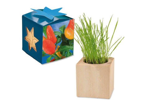 Pflanz-Holz Maxi Star-Box mit Samen - Basilikum