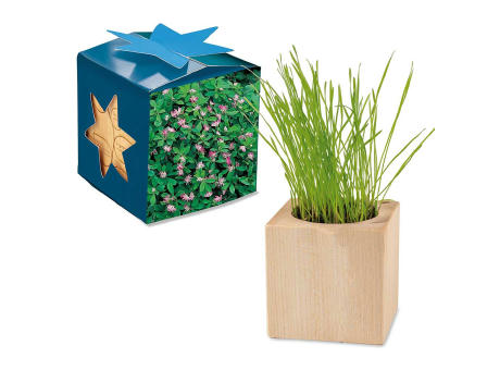 Pflanz-Holz Maxi Star-Box mit Samen - Basilikum
