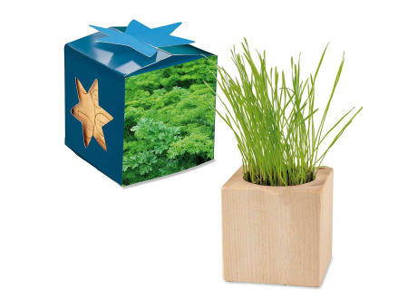 Pflanz-Holz Maxi Star-Box mit Samen - Basilikum