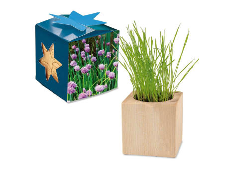 Pflanz-Holz Maxi Star-Box mit Samen - Basilikum
