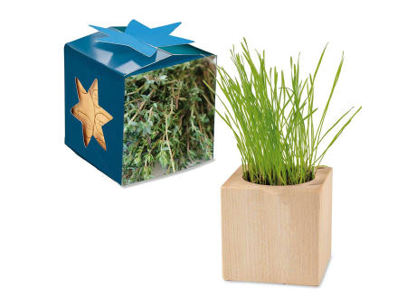 Pflanz-Holz Maxi Star-Box mit Samen - Basilikum