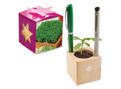 Pflanz-Holz Büro Star-Box mit Samen - Basilikum