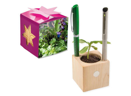Pflanz-Holz Büro Star-Box mit Samen - Basilikum