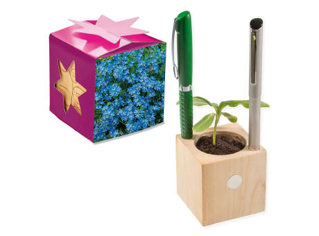 Pflanz-Holz Büro Star-Box mit Samen - Basilikum